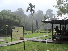 Pinnacles-Borneo-adventure-Sarawak-Headhunters-Trail 
